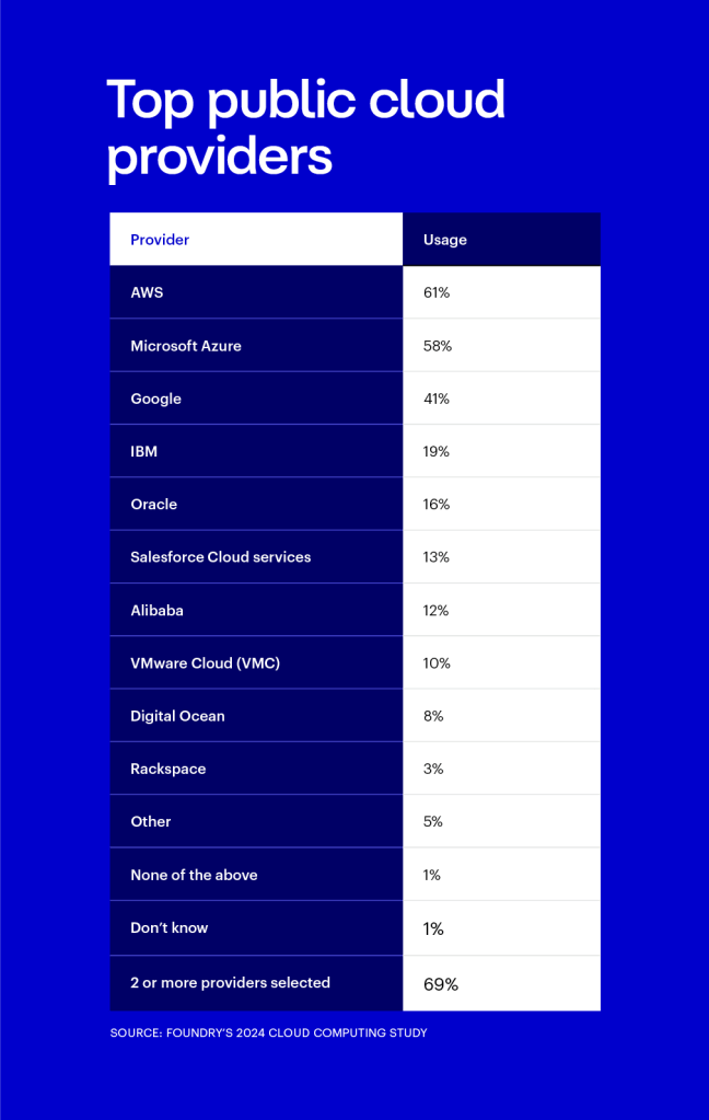 Which public cloud providers does your organization use?	