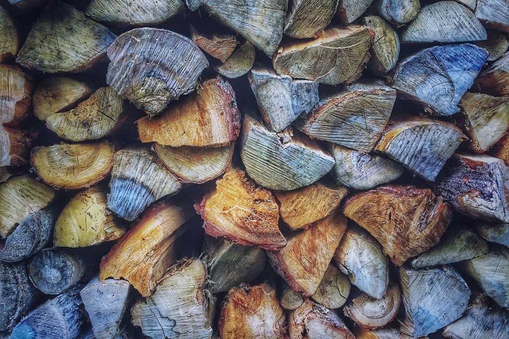 stacked firewood logs