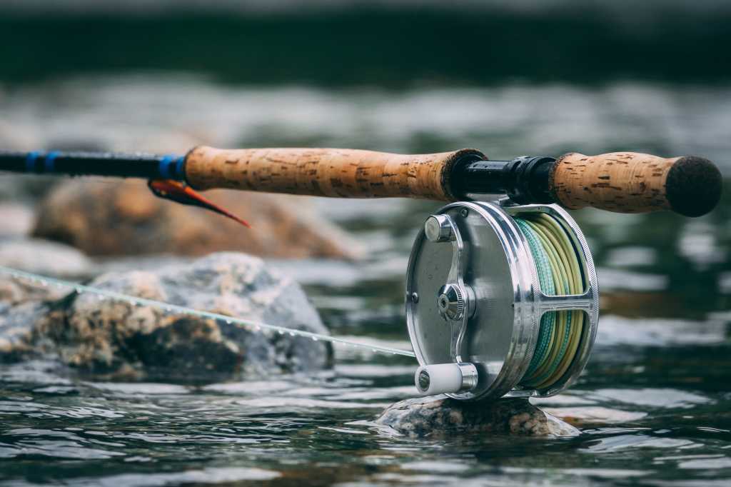 Fishing pole poised on the bank of a stream.